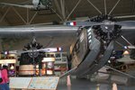 IMG_2636w.jpg