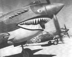 P40 112 sqdn RAF.jpg