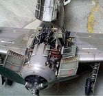dacoba_fw1.jpg