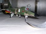 100_2937.jpg
