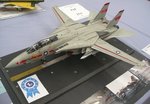 11_F-14A_7334.JPG