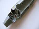 IMG_0170v2.JPG