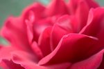 IMG_5734w.jpg