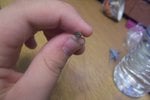102_5363.JPG