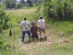 Peeing Bear.jpg