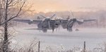Wings of Dawn by Philip West..jpg