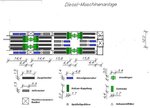 DieselMaschinenanlage_ 4 Wellen.JPG