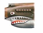 P40 shark mouth.jpg