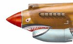 P40 shark mouth1.jpg