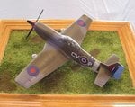 25_P-51_5104.JPG