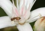 IMG_1176 A Sized.jpg