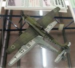 3_Ta152_7164.JPG