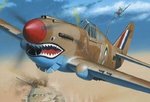 p40shark.jpg