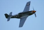 P51.jpg