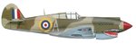 P-40 112 Shark sqn grey A.jpg