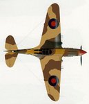 P40 shark scheme c1.jpg