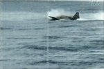 Ditching_IJN_aircraft.JPG