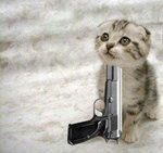 cat_and_gun.jpg