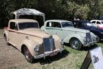 IMG_1146.jpg