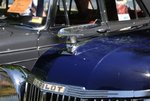IMG_1167.jpg