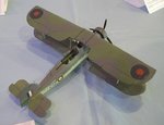 4_Swordfish_4882.JPG