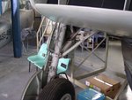 Firefly5.jpg
