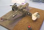 6_P-40_4835.JPG