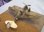 6_P-40_4836.JPG