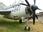 gannet6.jpg