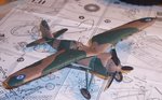 PZL 24 Finis.JPG