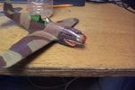 102_5840.JPG