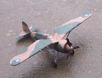 PZL 24 - b.JPG
