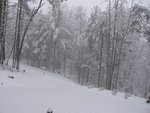 IMG_0294v2.JPG