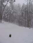IMG_0295v2.JPG