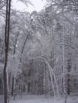 IMG_0298v2.JPG