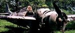 Wildcat_wreck_jungleTasimboko_Guadacanal_1980s2.jpg