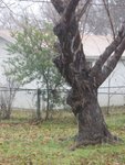 IMG_0033w.jpg