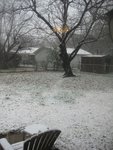 IMG_0037w.jpg
