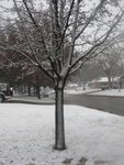 IMG_0061w.jpg