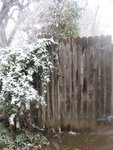 IMG_0062w.jpg