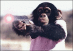 bambambambambambambambambambam_327.gif