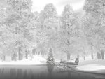 xmas012.jpg