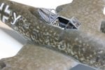091227 Canopy Closeup.jpg