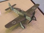 14_Fw190A-8_4856.JPG
