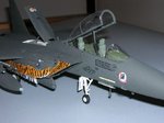F15_1a.jpg