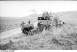 FDKFZ-5.jpg