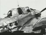 MG15_.jpg