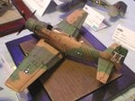 1_Skyraider 1_4628.JPG