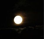 IMG_1232.jpg