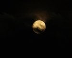 IMG_1241.jpg